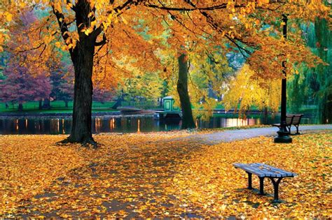 united states autumn|define fall season.